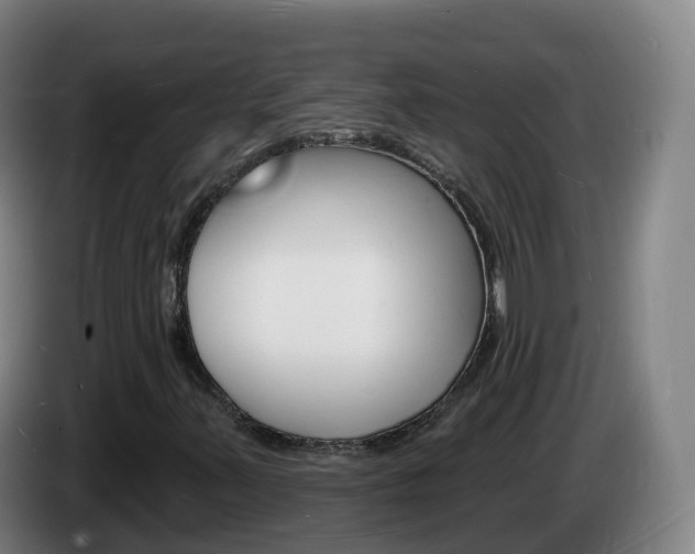 X0000085281347200703090928