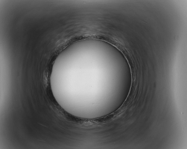 X0000085281348200703090928