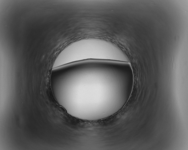 X0000085281349200703090928
