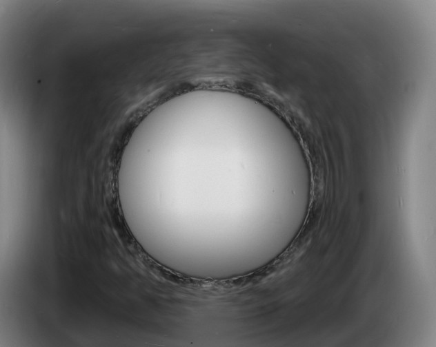 X0000085281350200703090928