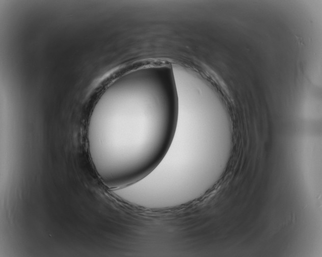 X0000085281352200703090928
