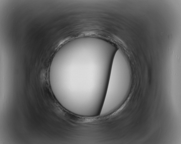 X0000085281353200703090928
