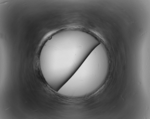 X0000085281358200703090927