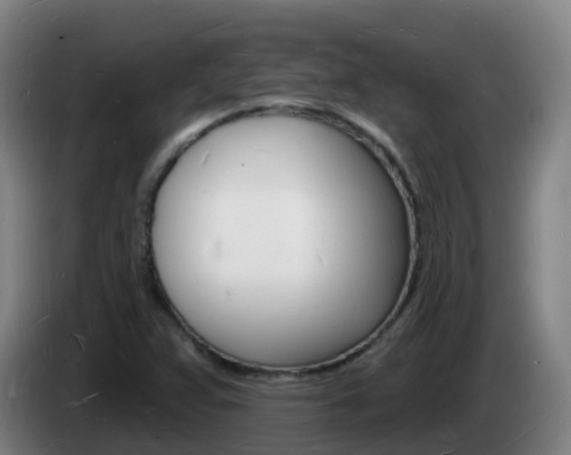 X0000085281359200703090927