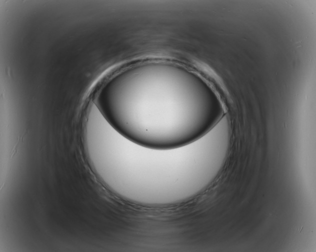 X0000085281360200703090927