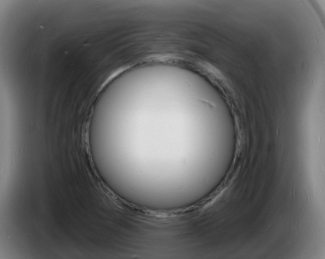 X0000085281361200703090927