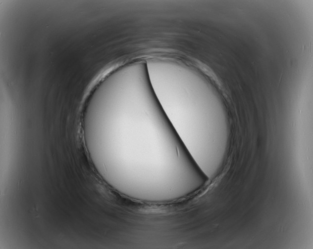 X0000085281362200703090927
