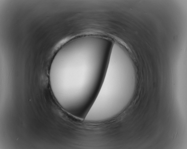 X0000085281363200703090927