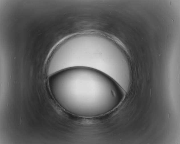 X0000085281364200703090927