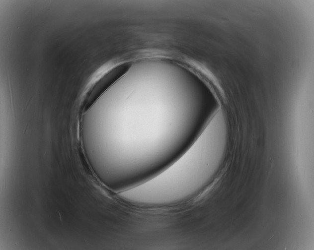 X0000085281365200703090927