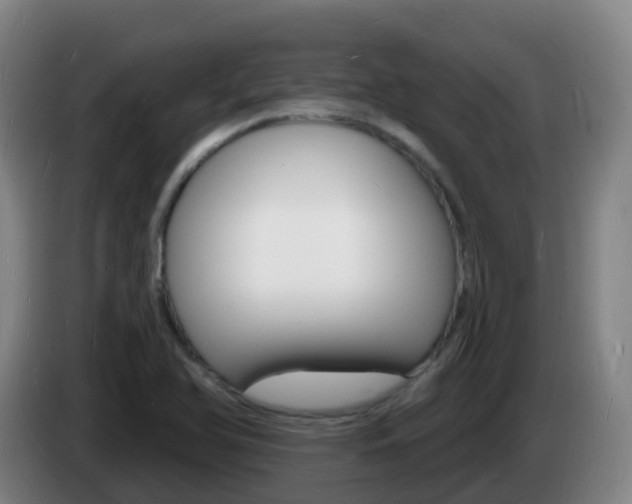 X0000085281366200703090927