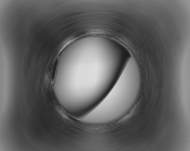 X0000085281369200703090927