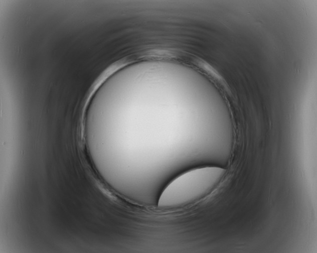 X0000085281370200703090927