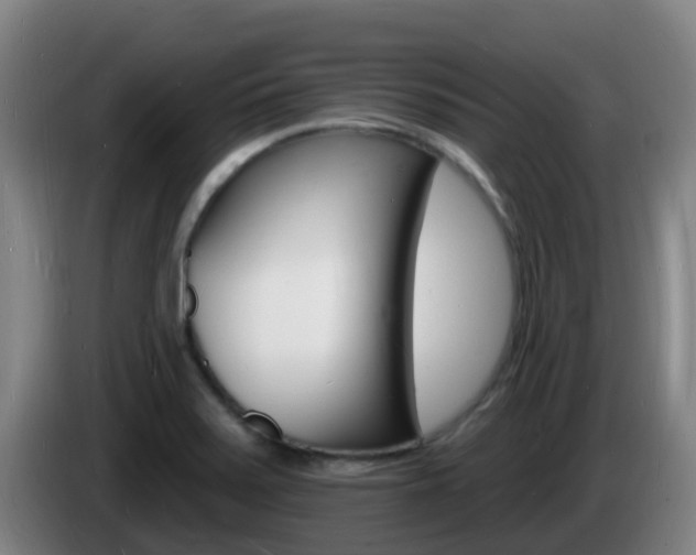 X0000085281371200703090927