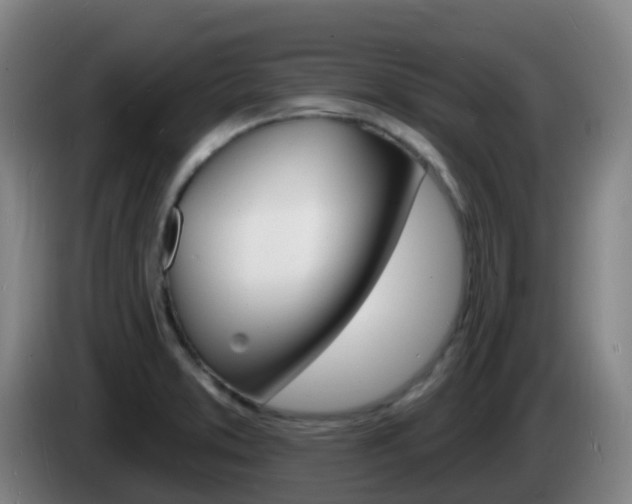 X0000085281373200703090927