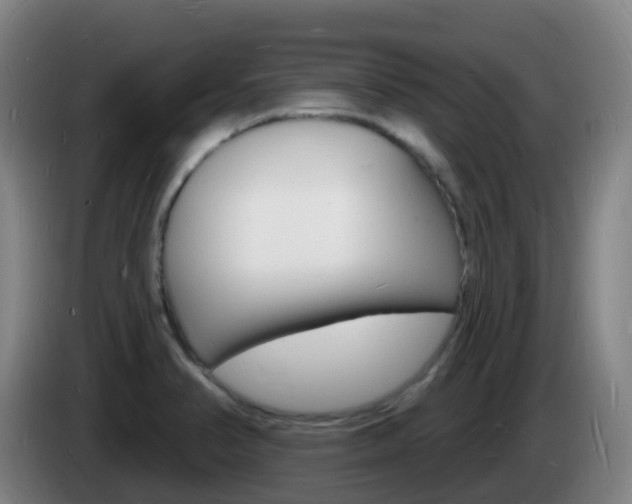 X0000085281374200703090927