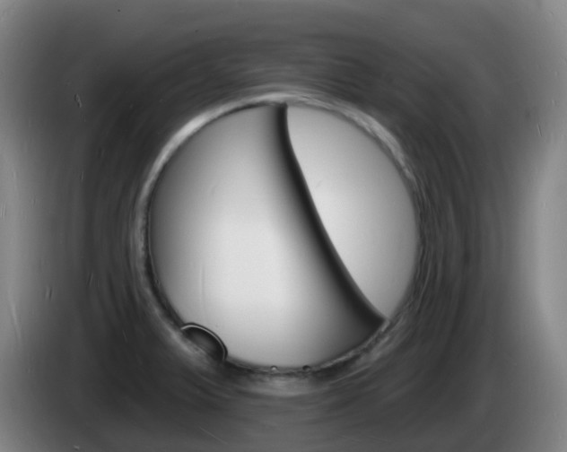 X0000085281375200703090927