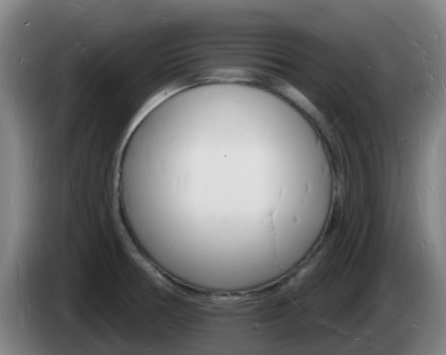 X0000085281378200703090927