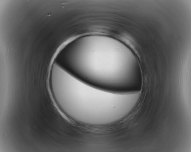 X0000085281379200703090927