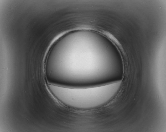 X0000085281380200703090927