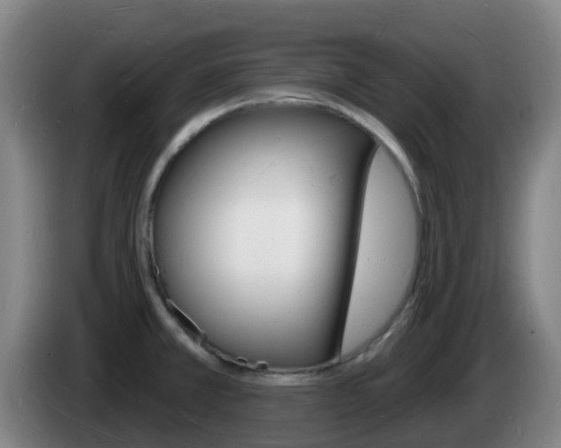 X0000085281381200703090927