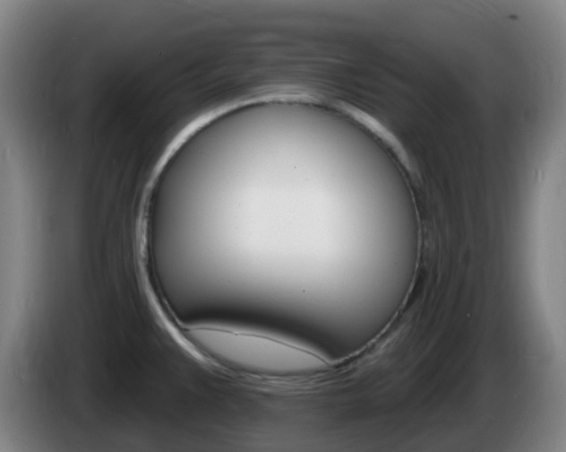 X0000085281383200703090927