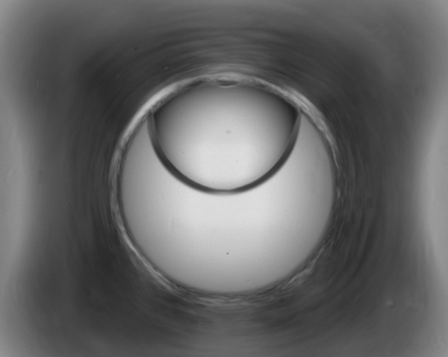 X0000085281384200703090927