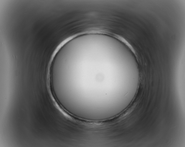 X0000085281387200703090927