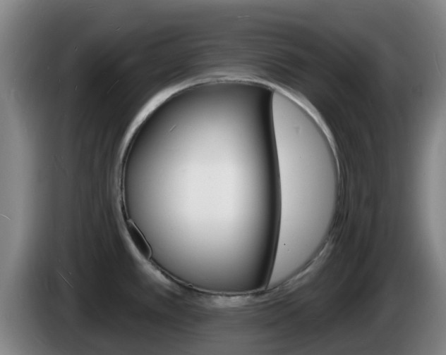X0000085281389200703090927