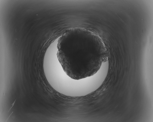 X0000085281393200703090926