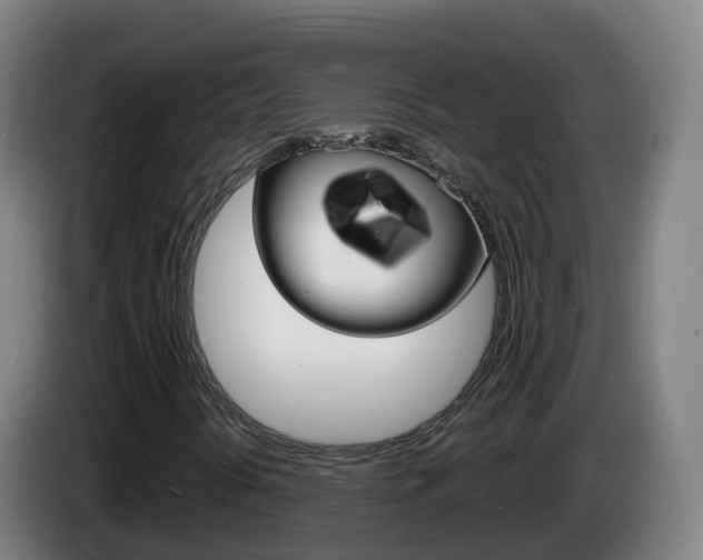 X0000085281394200703090926