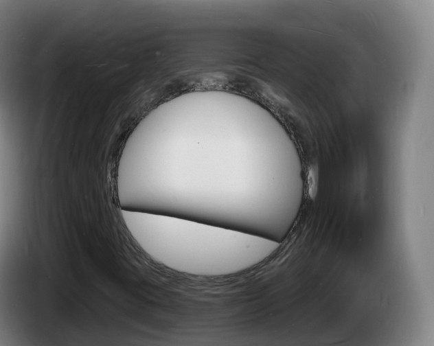 X0000085281395200703090926