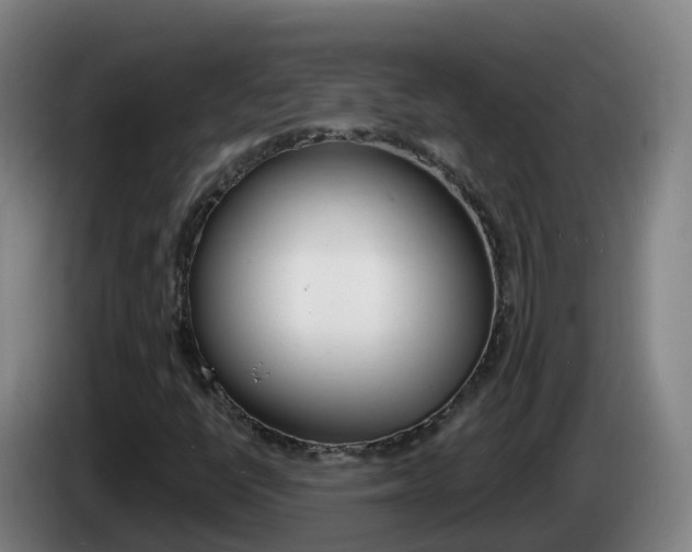 X0000085281398200703090926