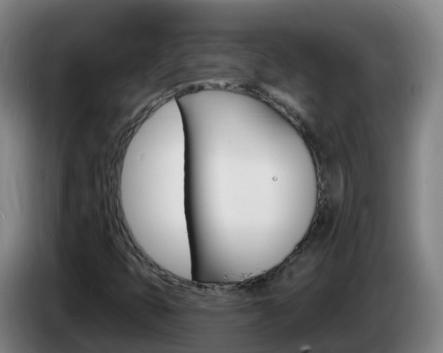 X0000085281399200703090926