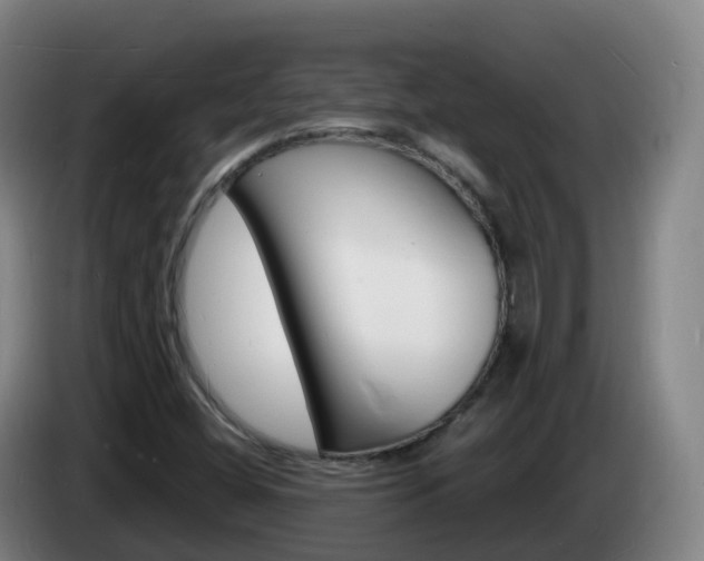 X0000085281404200703090927