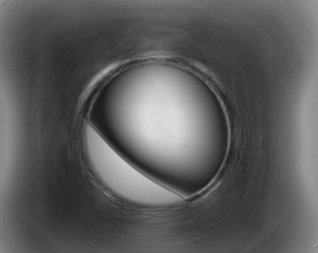 X0000085281406200703090927