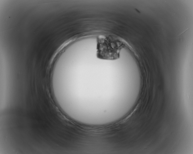 X0000085281410200703090927