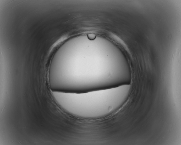 X0000085281411200703090927