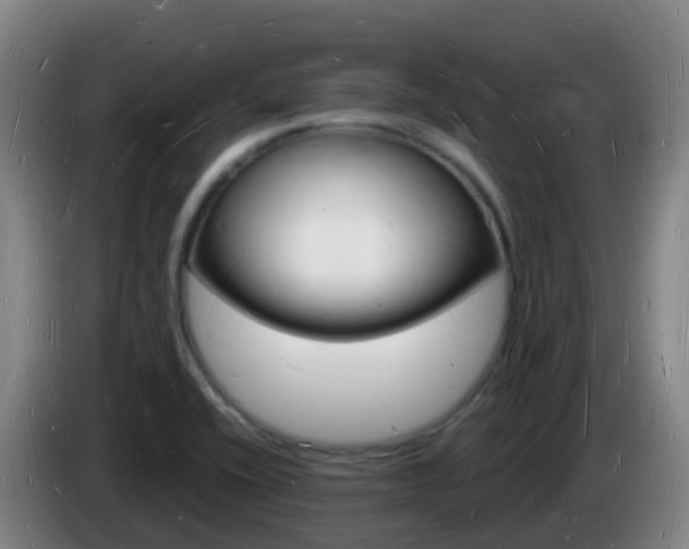 X0000085281416200703090927