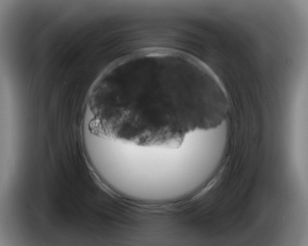 X0000085281417200703090927