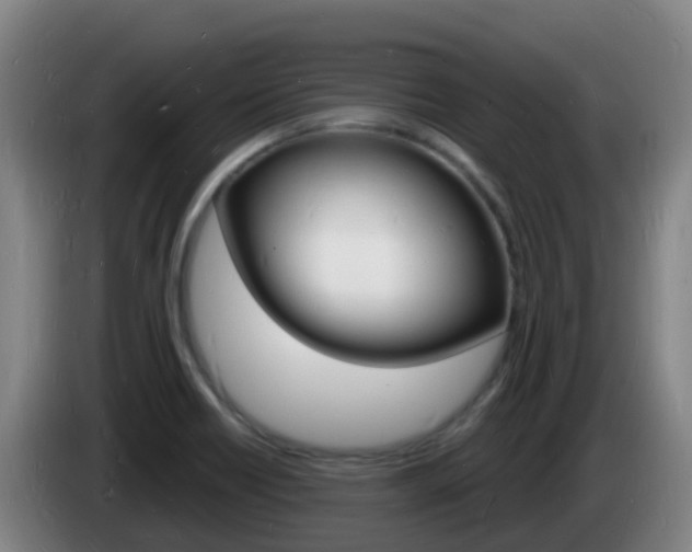 X0000085281418200703090927