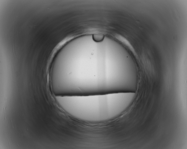 X0000085281419200703090927