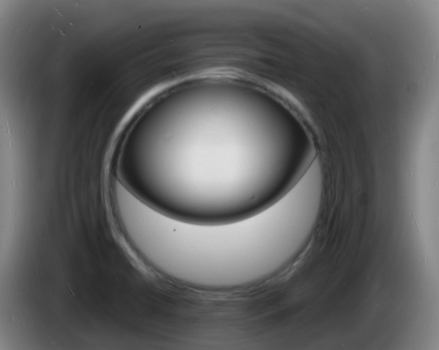 X0000085281422200703090927