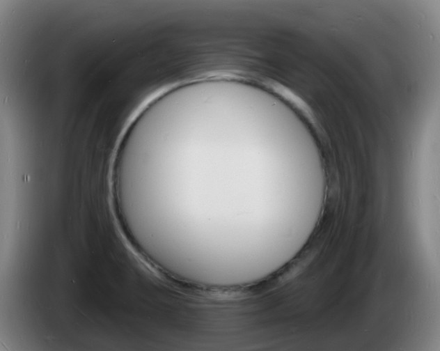 X0000085281423200703090927