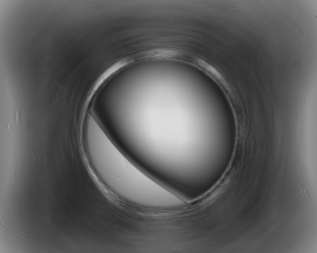 X0000085281426200703090927