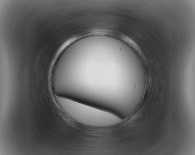 X0000085281427200703090927