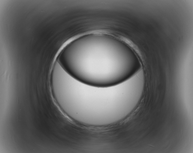 X0000085281428200703090927