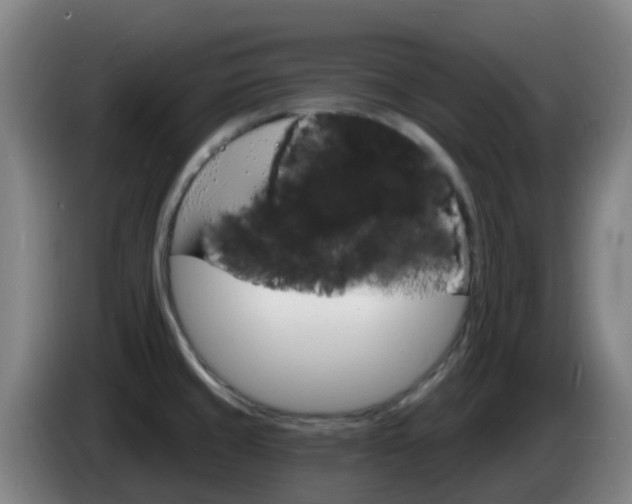 X0000085281429200703090927