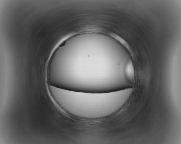 X0000085281431200703090927
