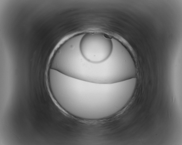 X0000085281432200703090927
